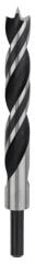 Bosch - Ahşap Matkap Ucu 18*180 mm
